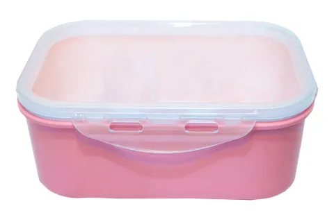 CE38 Food Container