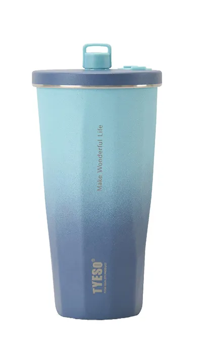 BD03 TYESO Vacuum Tumbler