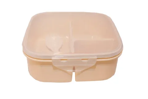 CE69 Food Container