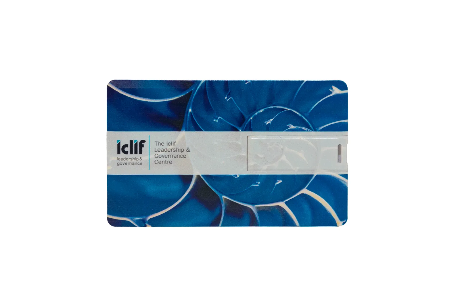TD13 USB Flash Drive